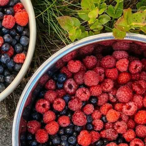 Klassische Scones wie frisch aus England, auch für die Vanküche gut geeignet