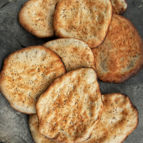 Avocado als Zimmerpflanze- Wie du Sie selber züchtest